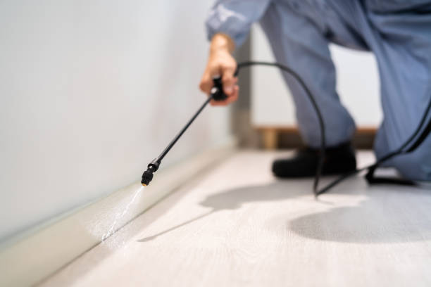 Licensed Pest Control service in Ladysmith, WI - Show Me Pest Control