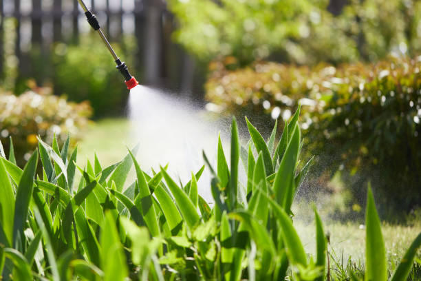 Tamper-Resistant Bait Stations for Rodents in Ladysmith