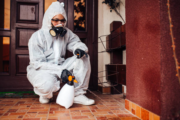 Attic and Crawl Space Rodent Treatment in Ladysmith